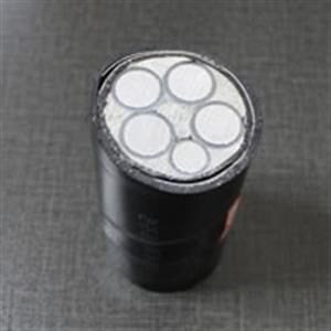 [NH-YJLV]耐火铝芯交联聚乙烯绝缘聚氯乙烯护套电力电缆