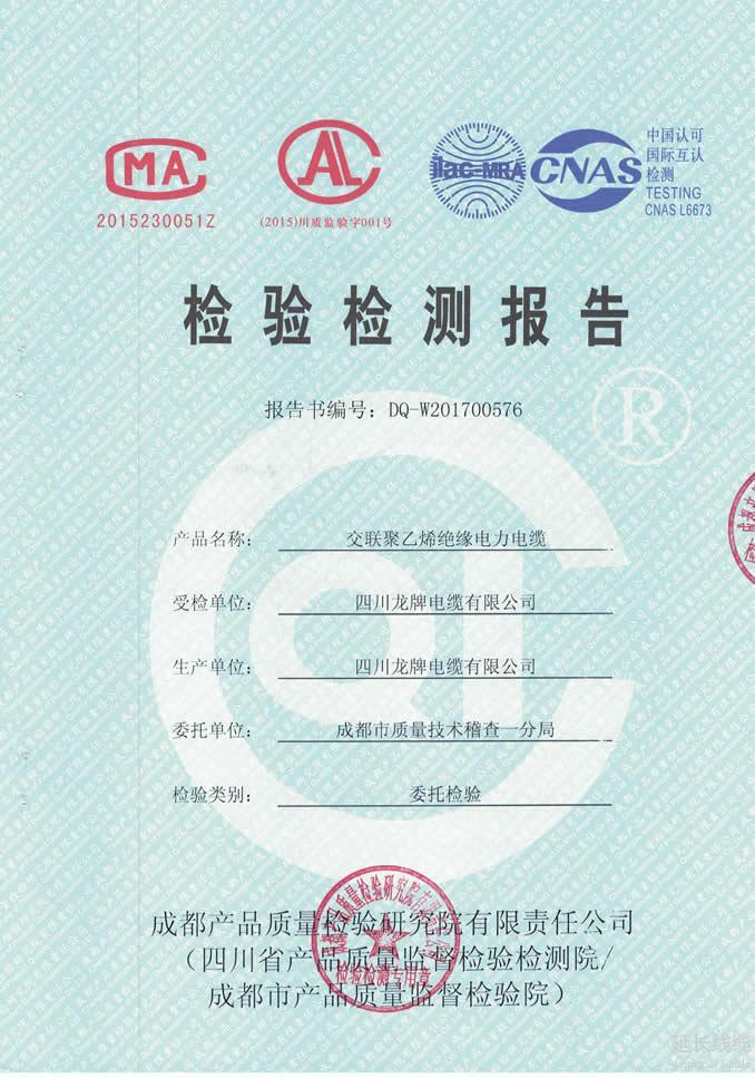 成都市质量技术监督局2017年稽查01页